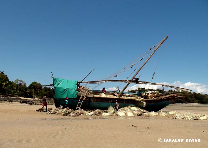 excursions and discover Nosy Be